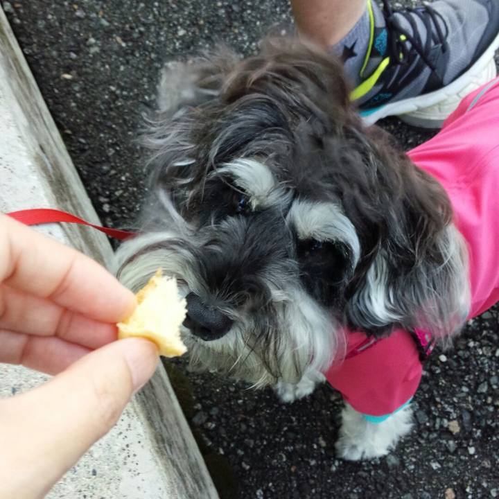 62c9cdd3 60d5 4353 935f f4dd3f4cf9e3