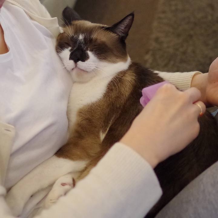 62c9ed33 6c01 4704 81a2 aae59ec08161