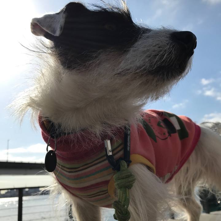 62ca7857 adaf 4cda 8a09 8028db2a820d