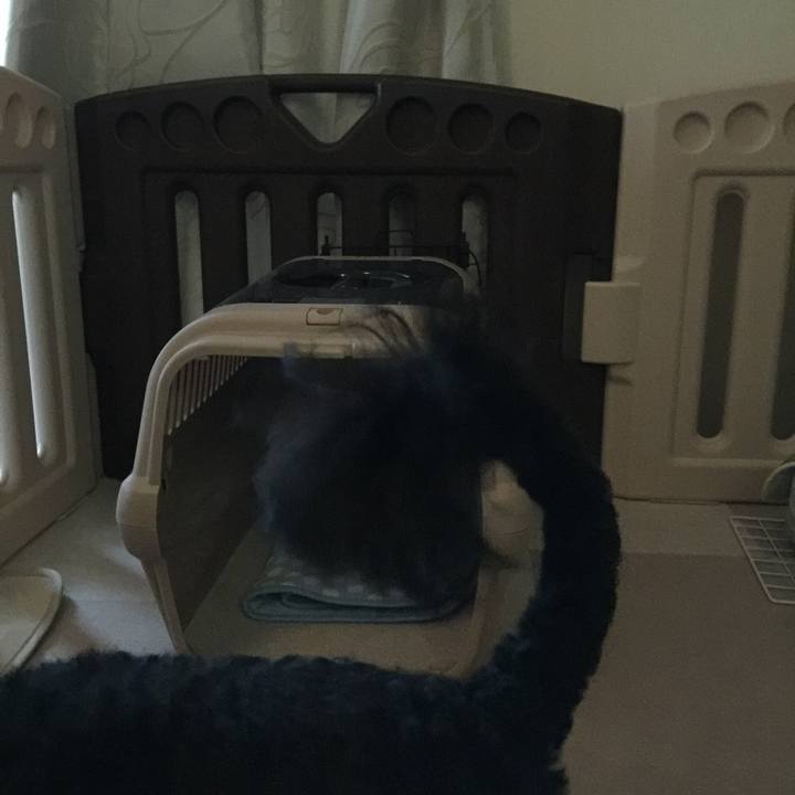 62caaeaa 8322 4956 a384 d534a2ebda7e