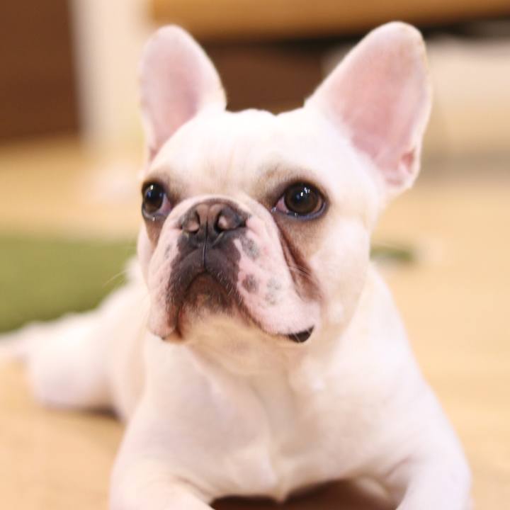 62cc12be 5d82 4df9 a9a1 38f690627f92