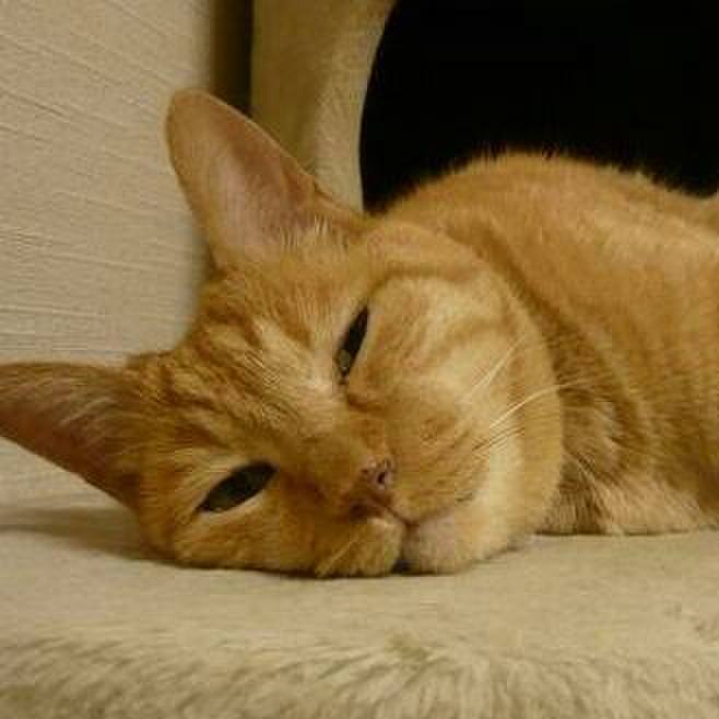 62cc309a 1a4a 4476 b0e9 1b6088f93955