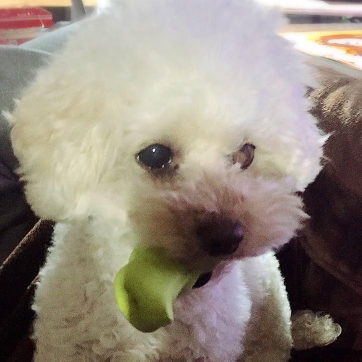 62cd762e 7e7e 4ff3 b224 06c31f88550f