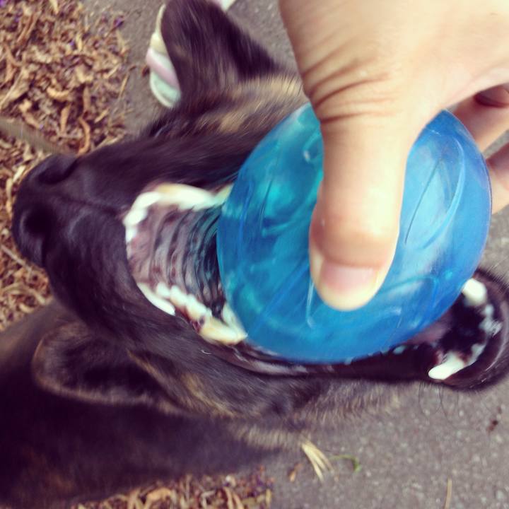 62cd8c61 c756 4058 a6cb f3f8562a4400