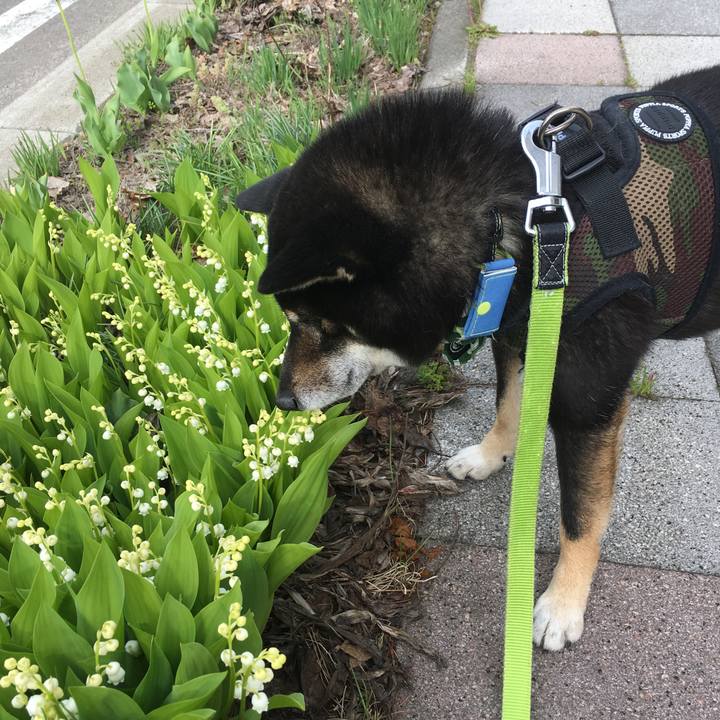 62cdad21 31ff 4ba3 8c41 ca487fdf24b6