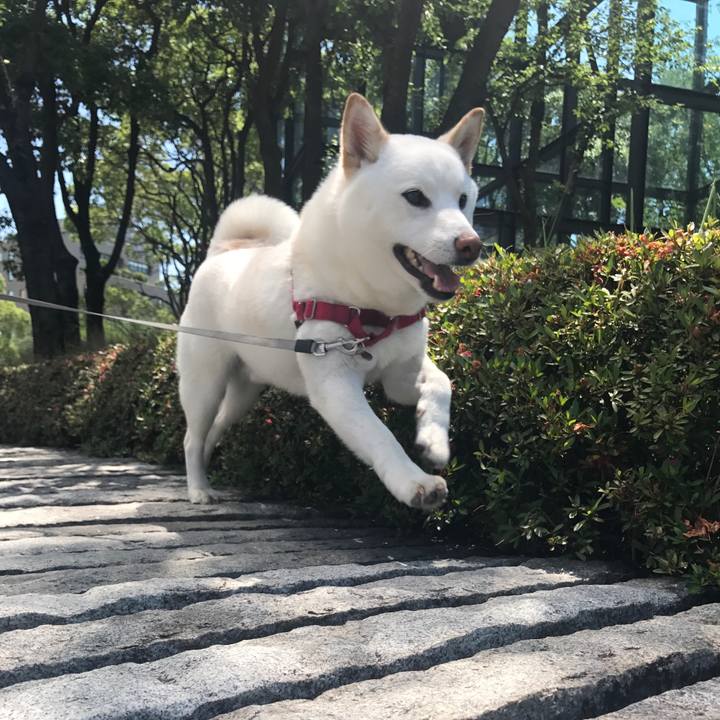 62ce6159 92ce 473c a2e7 f34007aa3f11