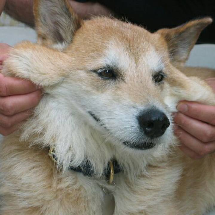 62ceb516 7d7f 43a0 ab30 e2a46e4fb7ed