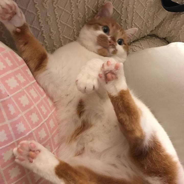 62cf819e 5ac2 400a 9a04 6777b120fe39