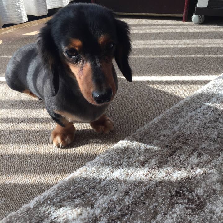 62cf861d 6751 41cc 85ff 31d17de35d0c