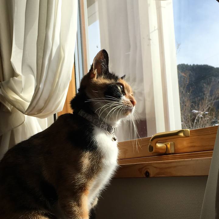 62cf8879 19bf 43bf 9ccc e38692e415c1