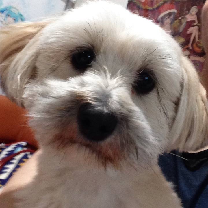 62cf9367 7089 498a a9fb 28c0e43c7ed7