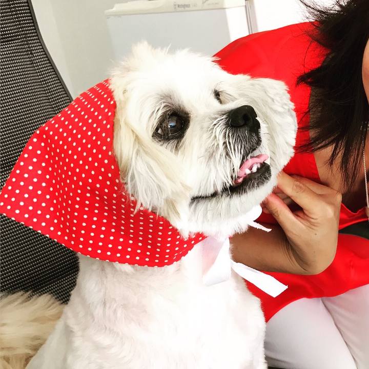 62cfea59 f6ff 451d 86bd 817a698e7b65