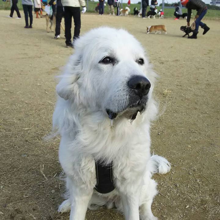 62d0daac bebb 4702 a6eb be2c09563c3f