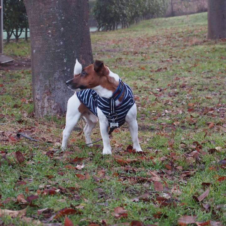 62d1f658 daf1 4d8b 8e02 197ebbd3571b