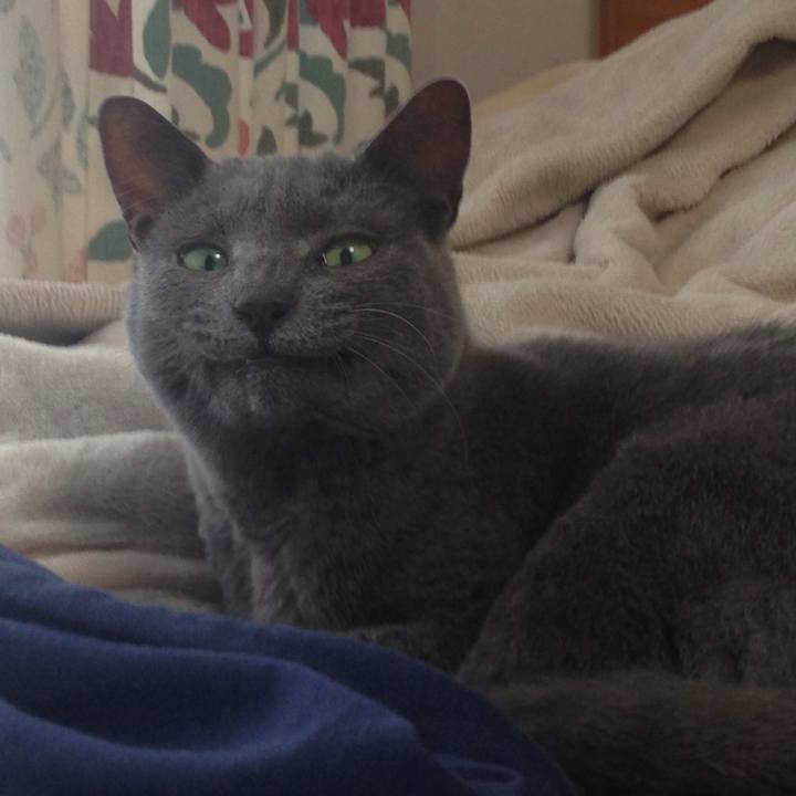 62d2940a 4b00 4233 883d 75ae2a53df08