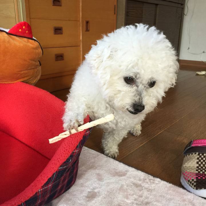 62d2bba1 3ea7 4f33 94fd d9384cf4dae7