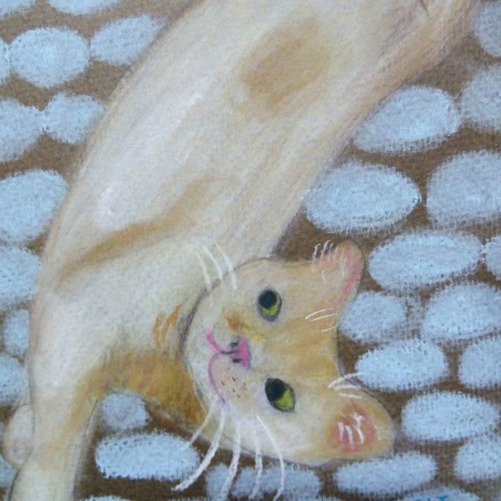 62d40429 36c8 4642 8b4a c114eba7ea4f