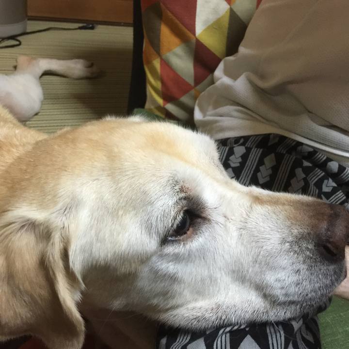 62d404b0 2823 4988 b5e7 8512454f9ad2