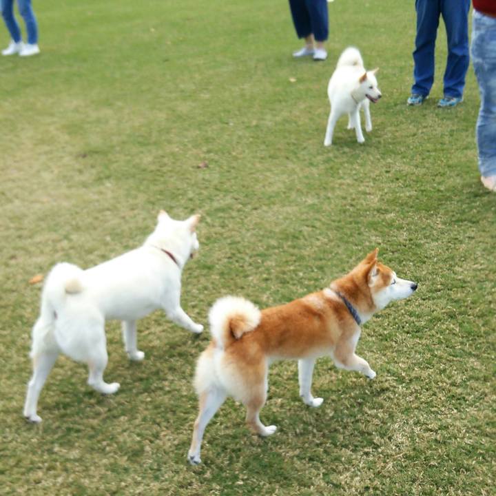 62d40c43 9f9b 42cd bf10 451702c5ee22