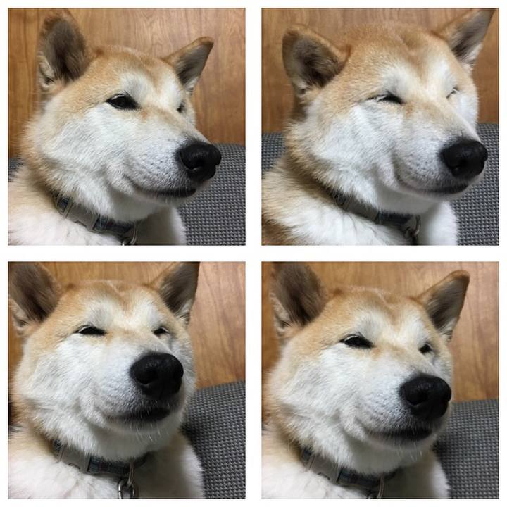 62d4b065 89e2 4c0c ba70 e82c7a936389