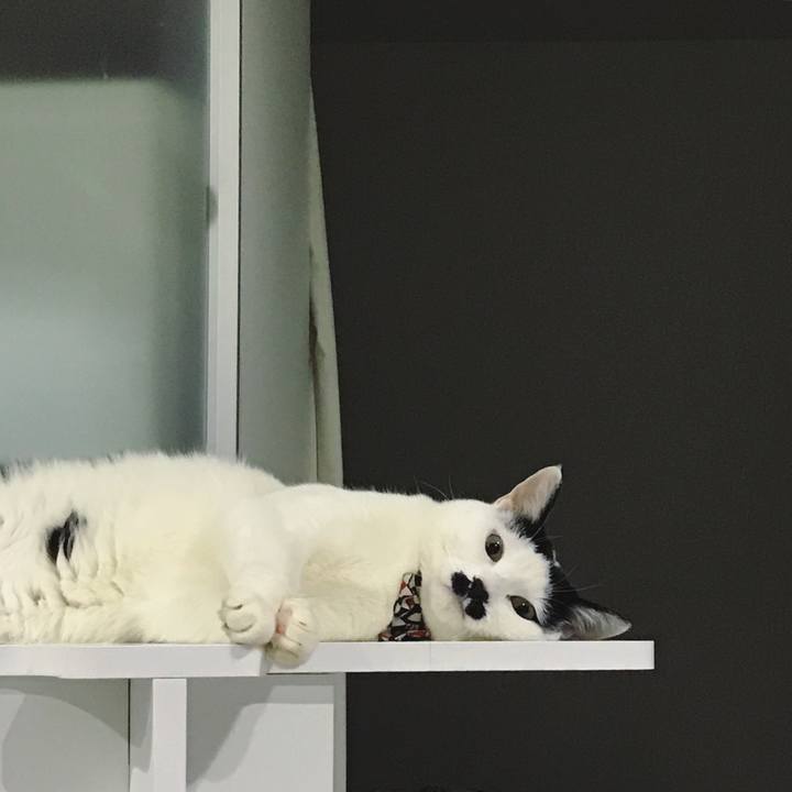 62d50bec c124 4afa 8571 7b62f2212cbf