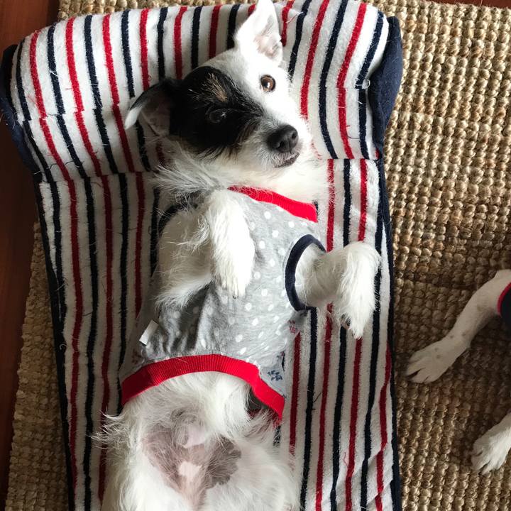 62d54239 3900 4587 bda5 33f6a5226f74