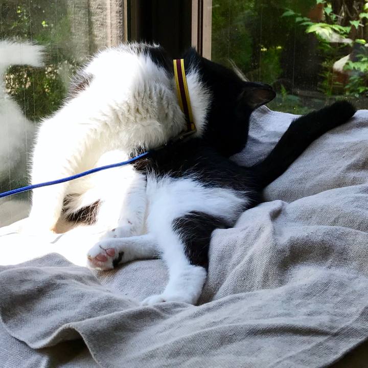 62d549a2 f495 498d 8e3b 41defdaa46ce