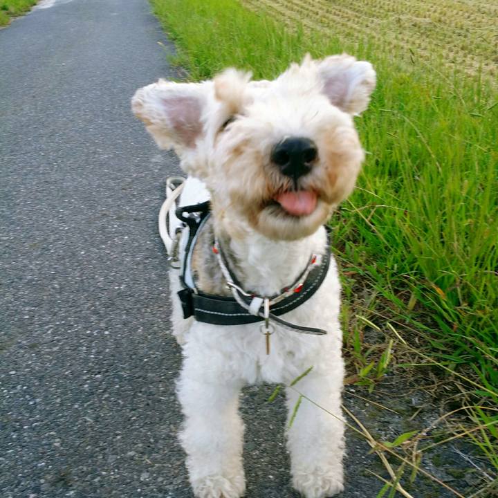 62d5a447 ecd8 4d75 bdce b90eb0efb78d