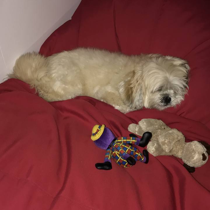 62d5a98a af15 43ba b735 9d6123a19e97