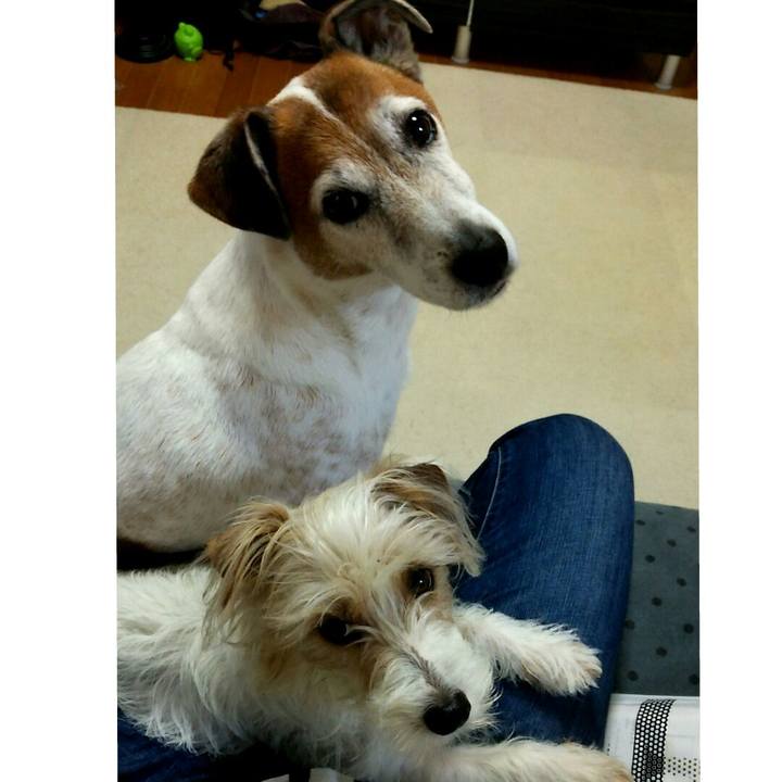 62d5b13a e10c 4109 a54d 6069a8e1686d