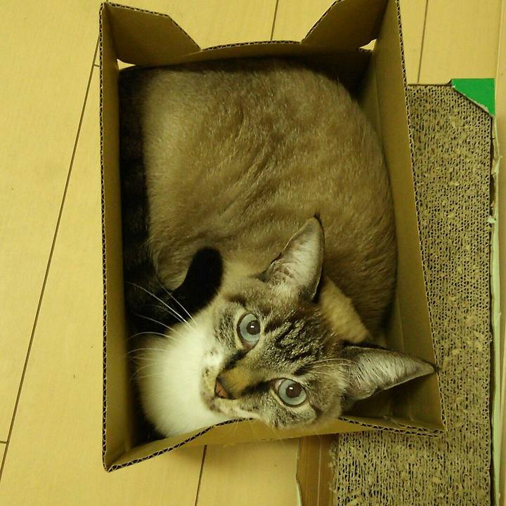 62d5ccea 3ac4 4704 87f9 473e8e6ddeda