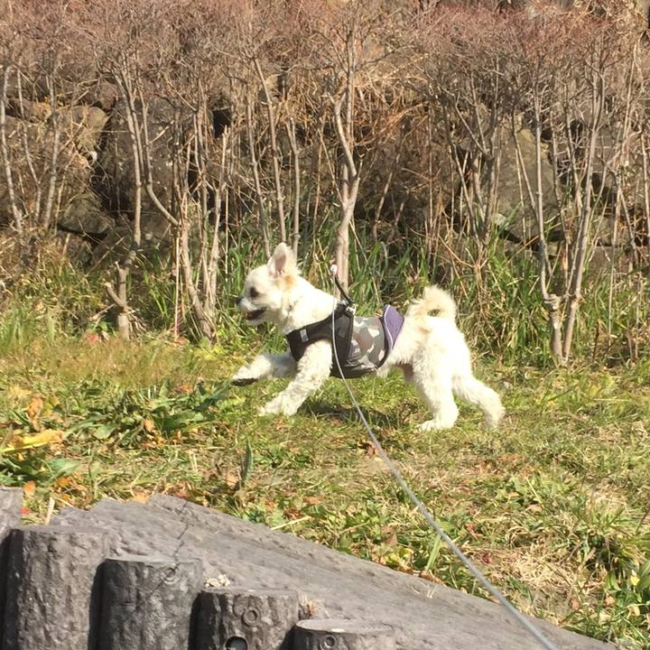 62d5ddfc 343d 41d1 bacb 627c5b846349