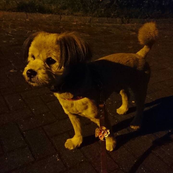 62d5ef9e 7f53 40c5 9077 5011bcba9d2c