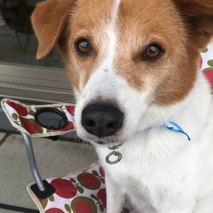 62d60834 74d2 4459 8eeb a340c3a91bc8