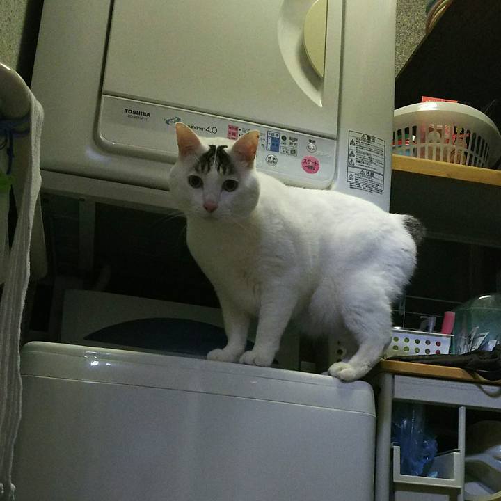 62d61e62 154d 4b56 ae54 485c2a204ac7