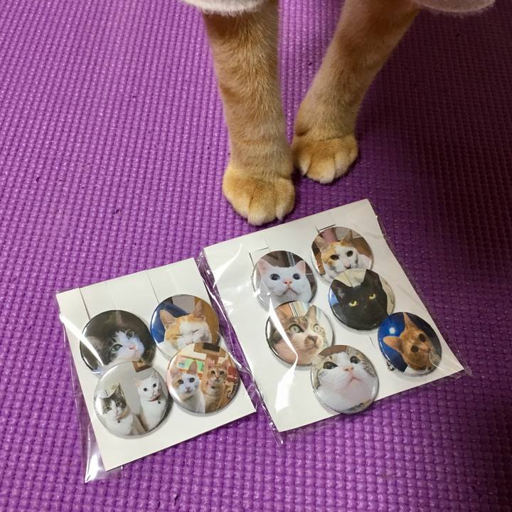 62d6690b c257 46ba 9ed5 450e0d30c8ab