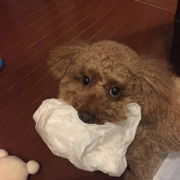 62d66ca5 19eb 466d be14 eebf606ffc52