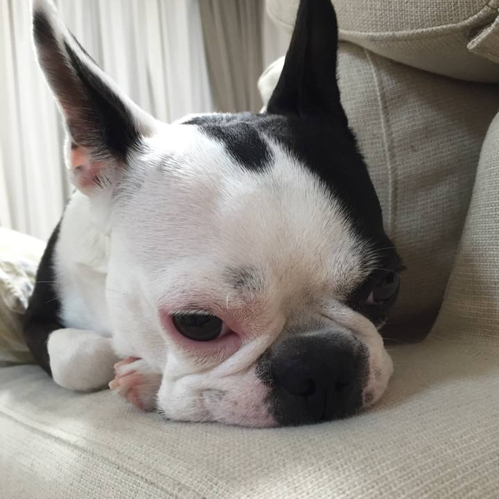 62d6871c 4ef6 4354 bd65 0fe40918ff01