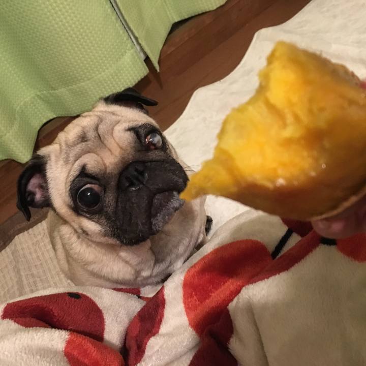 62d80474 ebbe 4168 8ca8 98c0a44f3b1f