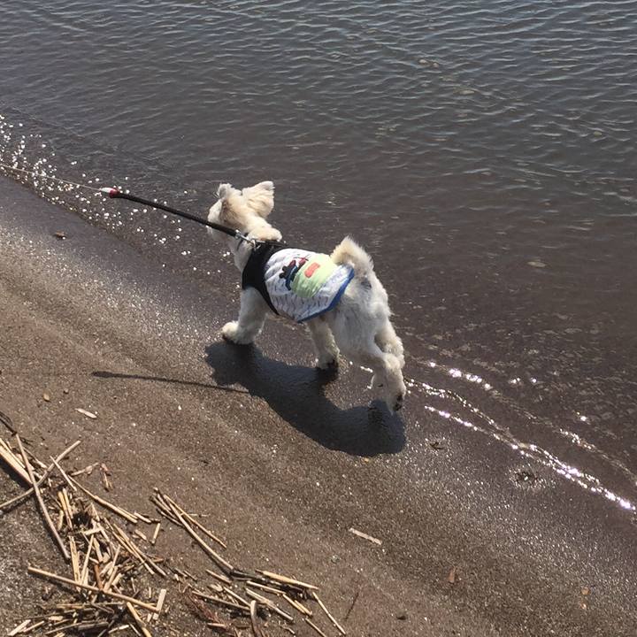 62d89006 713d 4fc5 bbfe 1069609fce97