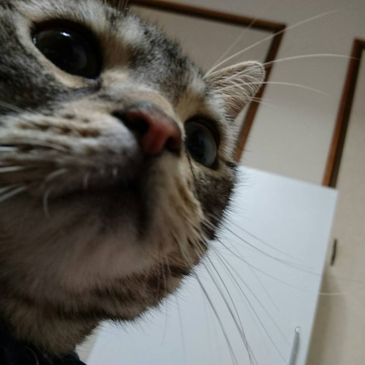 62d8a0f3 dbe6 4678 bb3a c8eec0123de3