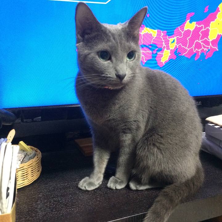 62d8a2eb 8965 49e6 a813 f61856e929e1