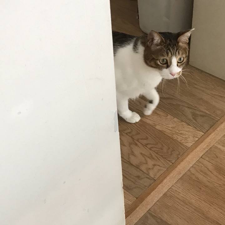 62d95b0e 8e2a 4c19 80b3 df587020fab8