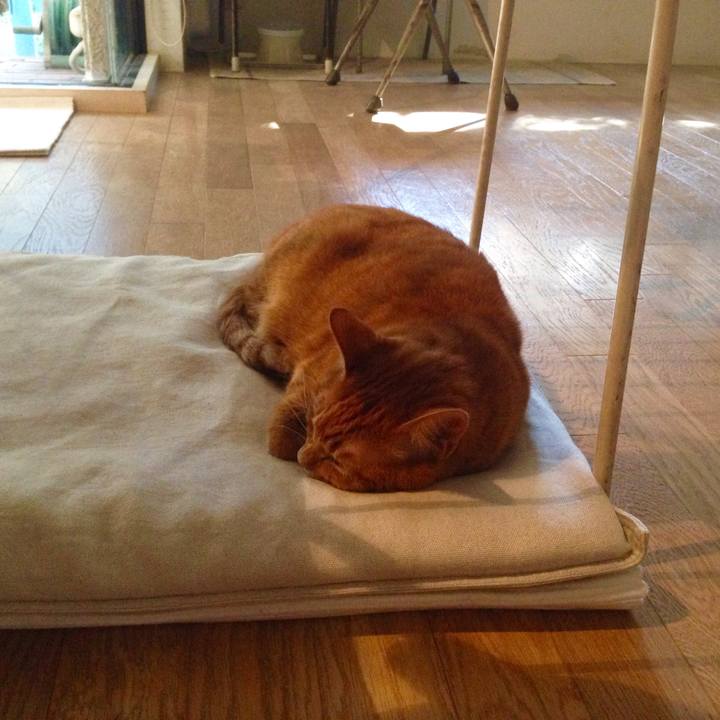 62d9877c 14b9 4d56 99a5 55ce0cb1a373