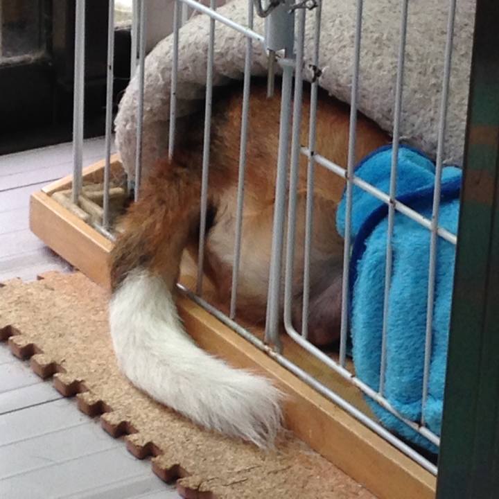 62d98882 ee7e 426b 8feb c91bb10be133