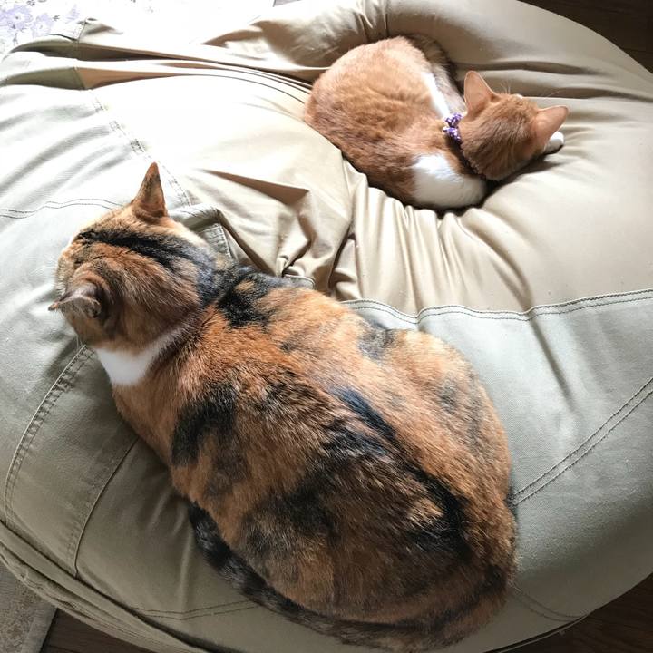 62d98bf7 8c9a 4994 a0a9 2900d811ffc9