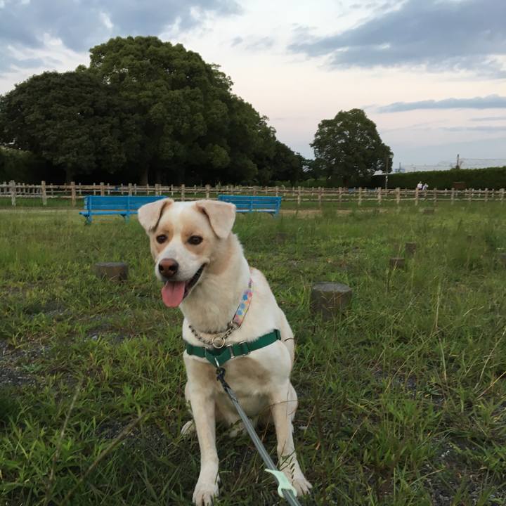 62d9ba3a dfae 4fa1 a143 332df634e06a