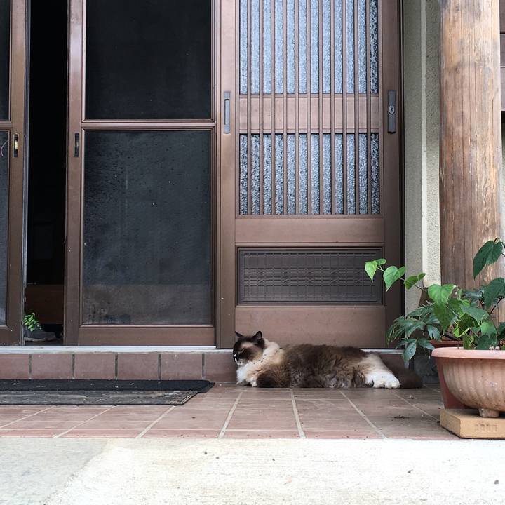 62da4f79 8780 4042 a462 975bf5458483