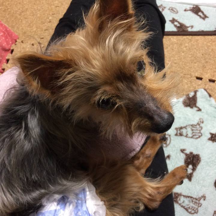 62da7650 ead9 437f a6cf d8e9f187d814