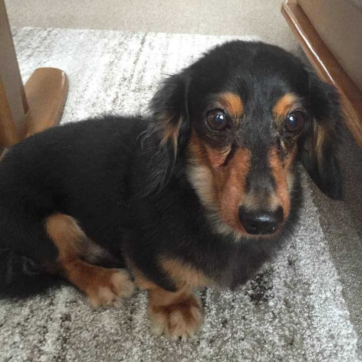 62daad08 4802 4dc1 a6a7 93eb910bfdc7